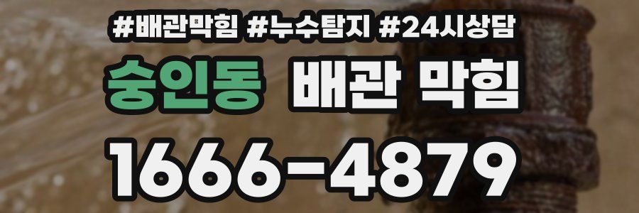 숭인동 배관 막힘