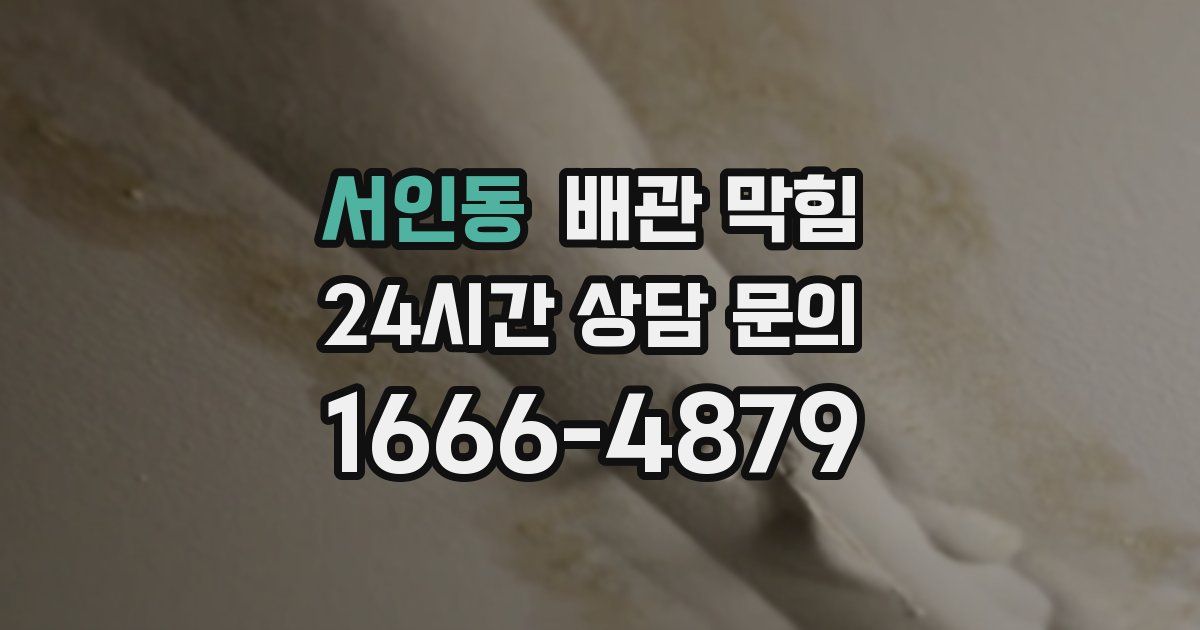 서인동 배관 막힘