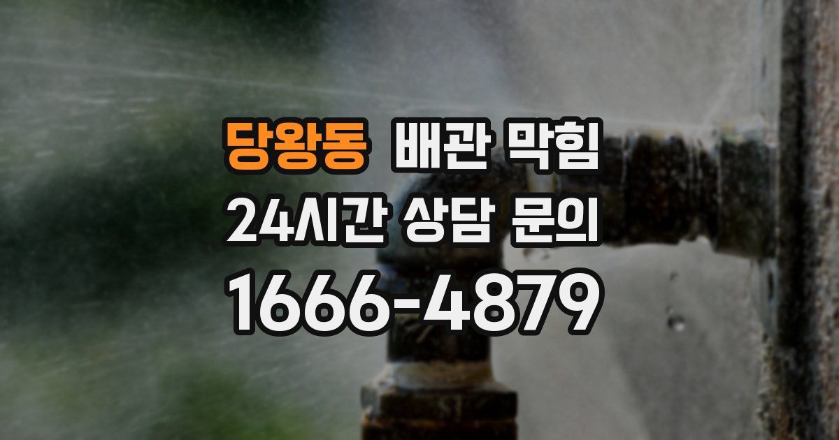 당왕동 배관 막힘