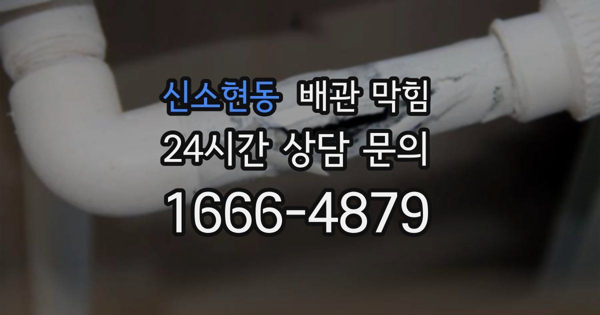 신소현동 배관 막힘