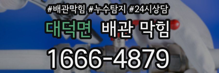 대덕면 배관 막힘