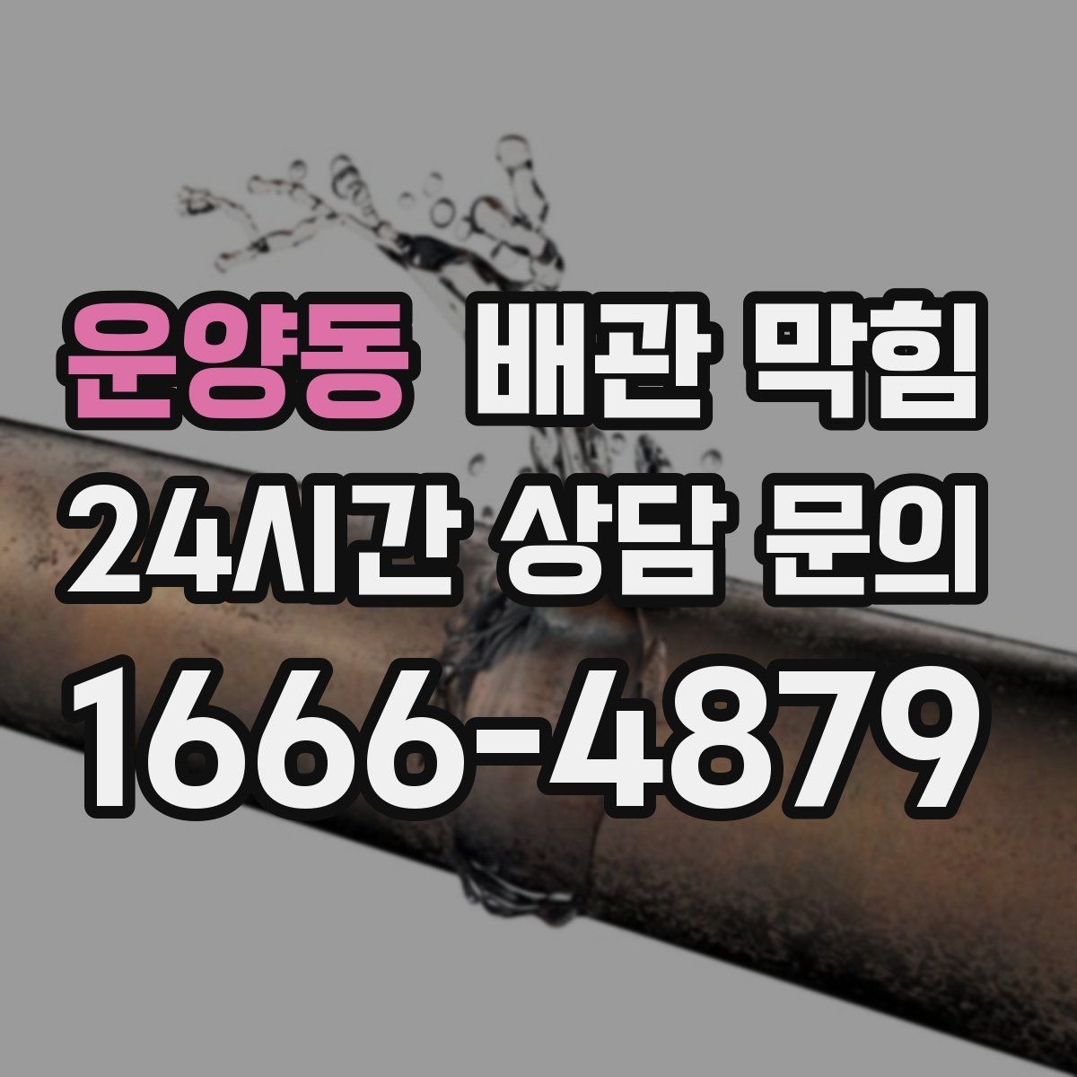 운양동 배관 막힘 여러 층에서 동시에 생기면 공용 배관 가능성