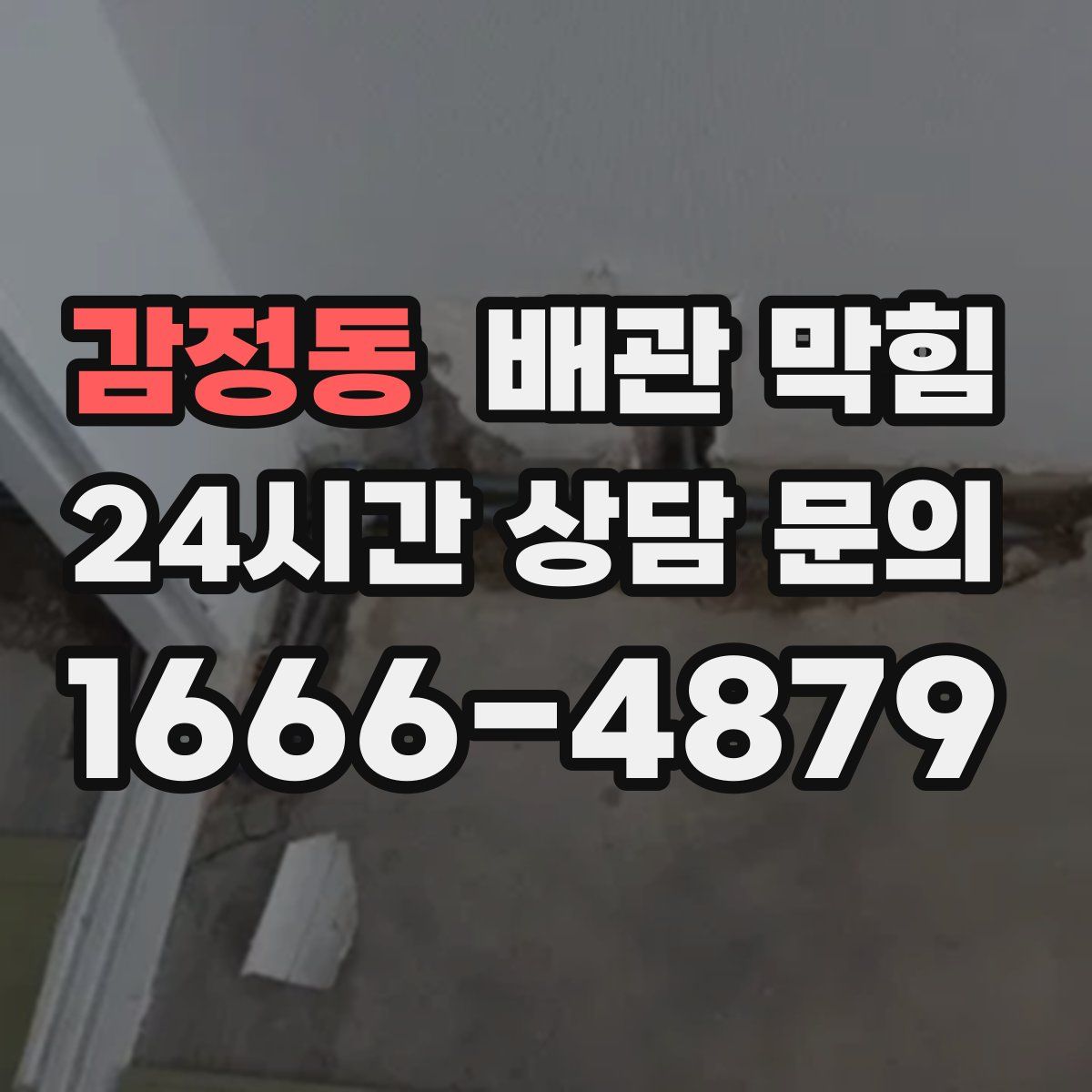 감정동 배관 막힘