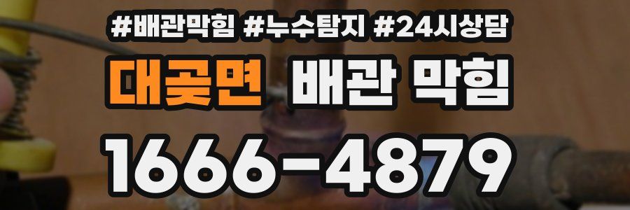 대곶면 배관 막힘