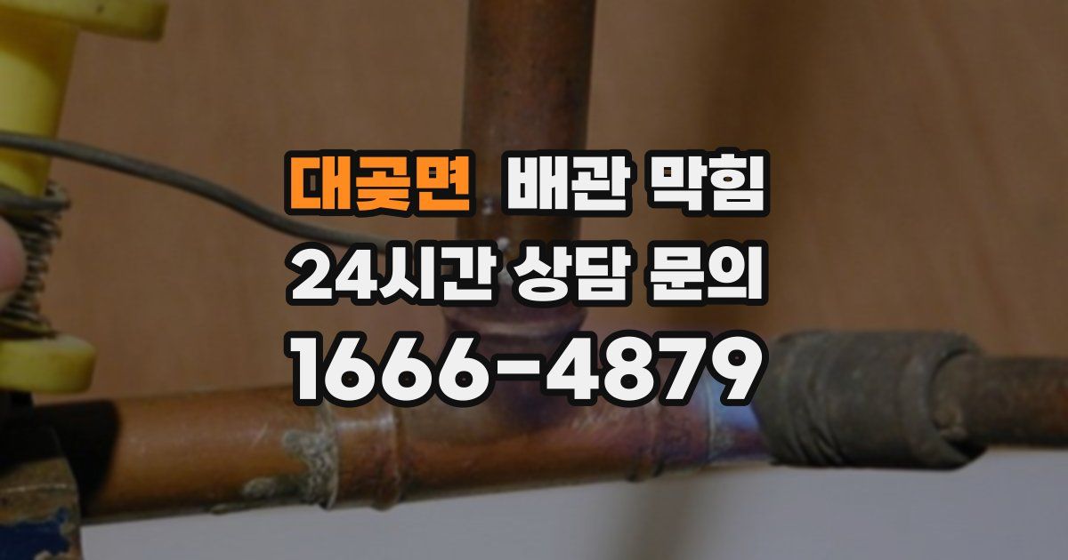 대곶면 배관 막힘