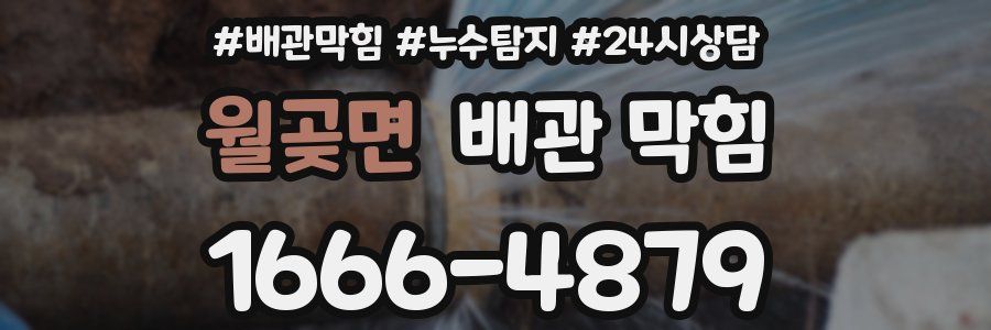 월곶면 배관 막힘