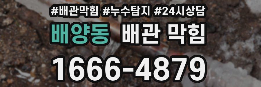 배양동 배관 막힘