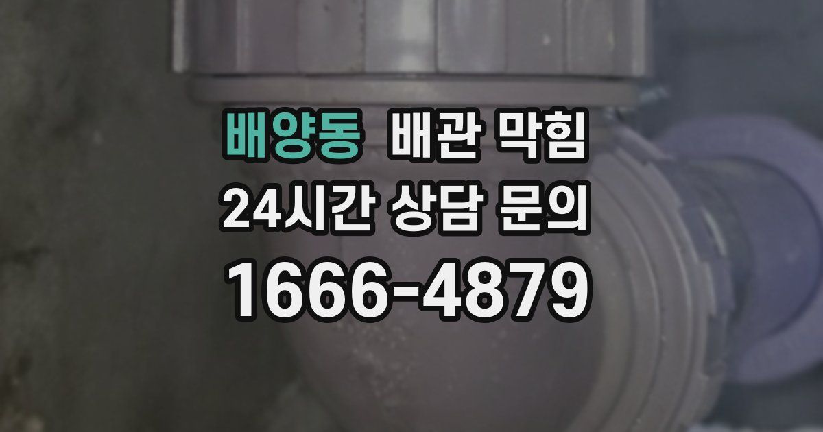 배양동 배관 막힘