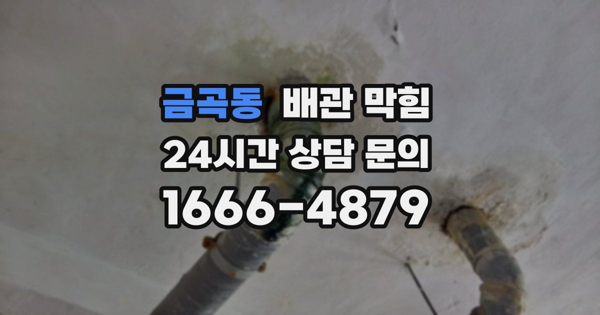 금곡동 배관 막힘