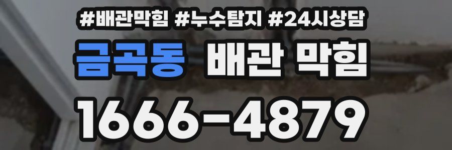 금곡동 배관 막힘