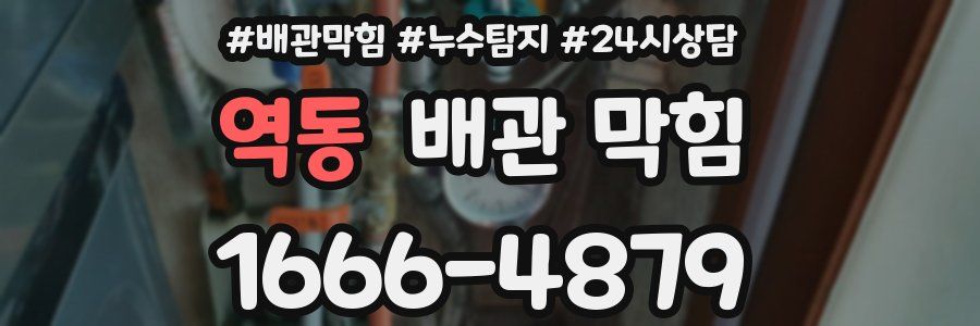 역동 배관 막힘