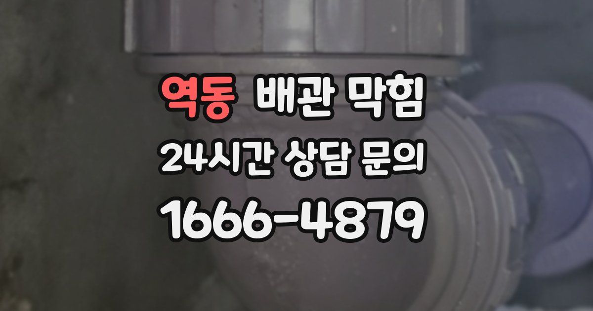 역동 배관 막힘