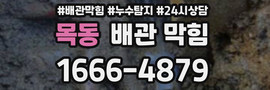 목동 배관 막힘