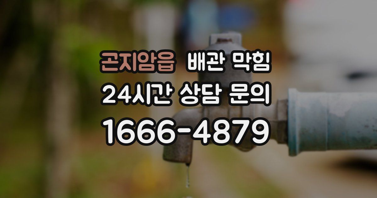 곤지암읍 배관 막힘