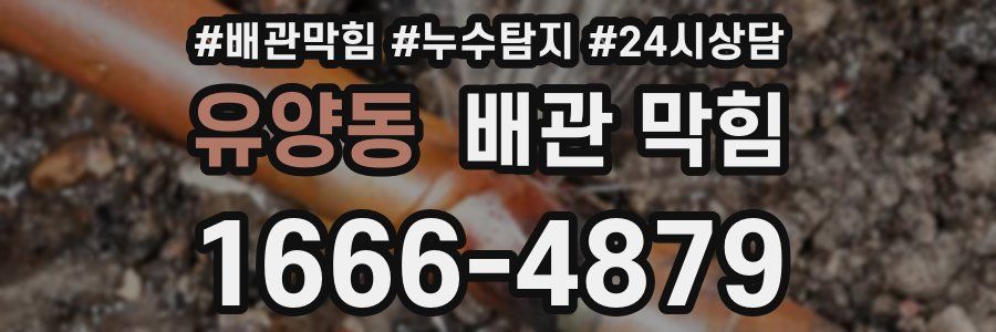 유양동 배관 막힘