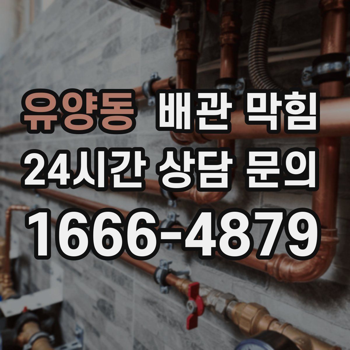 유양동 배관 막힘