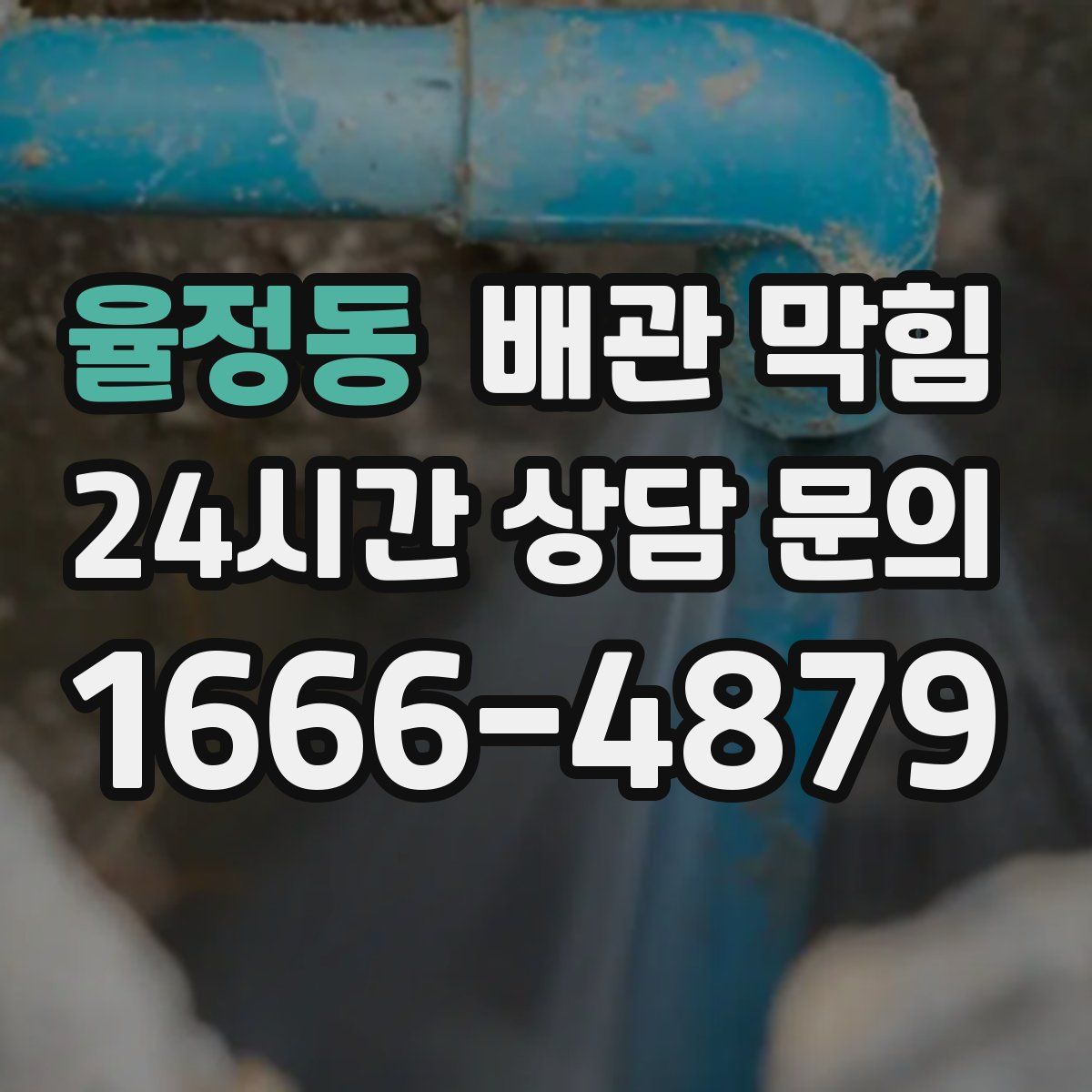 율정동 배관 막힘