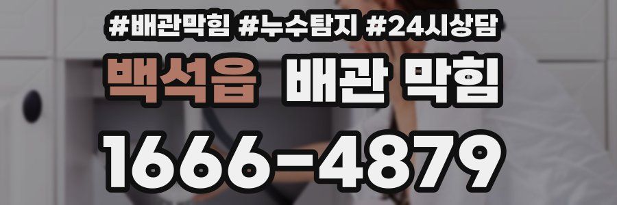 백석읍 배관 막힘