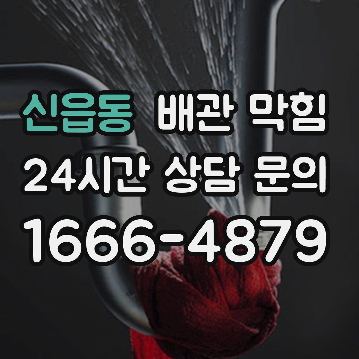 신읍동 배관 막힘