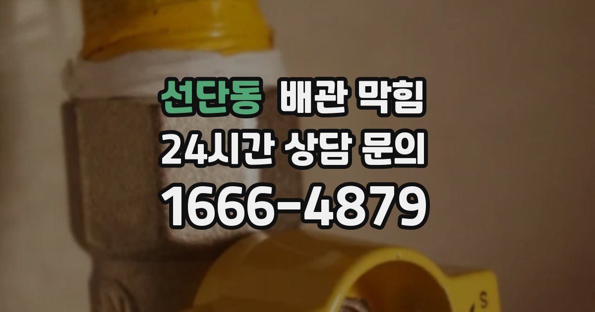 선단동 배관 막힘