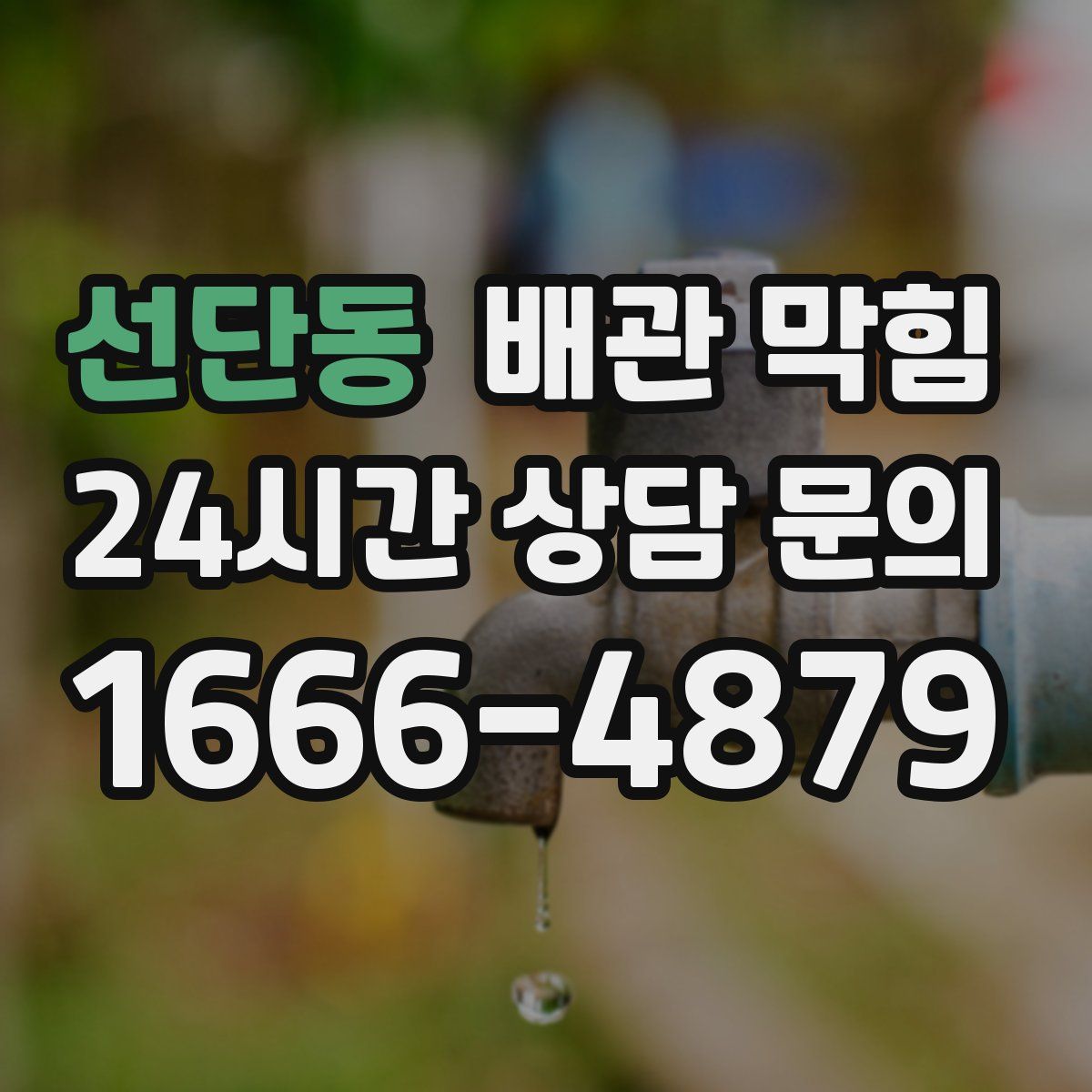 선단동 배관 막힘