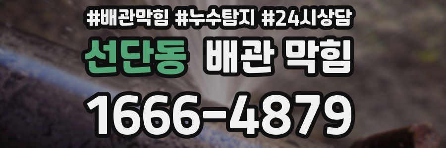 선단동 배관 막힘