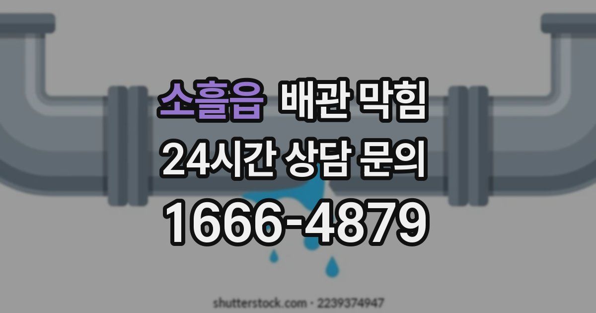 소흘읍 배관 막힘