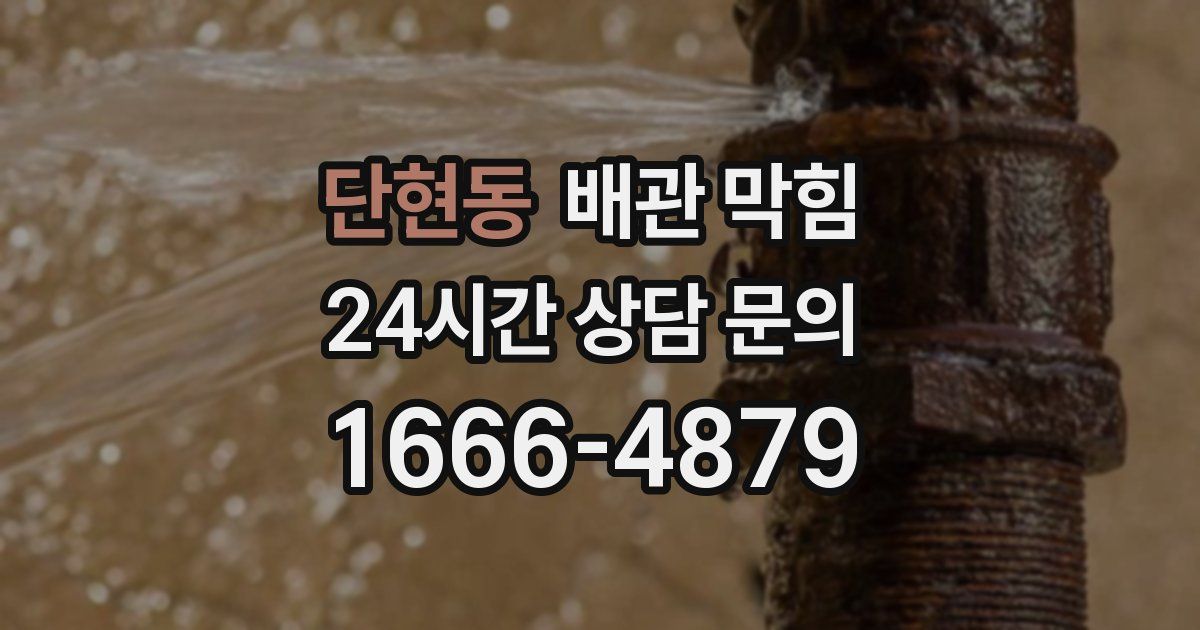 단현동 배관 막힘