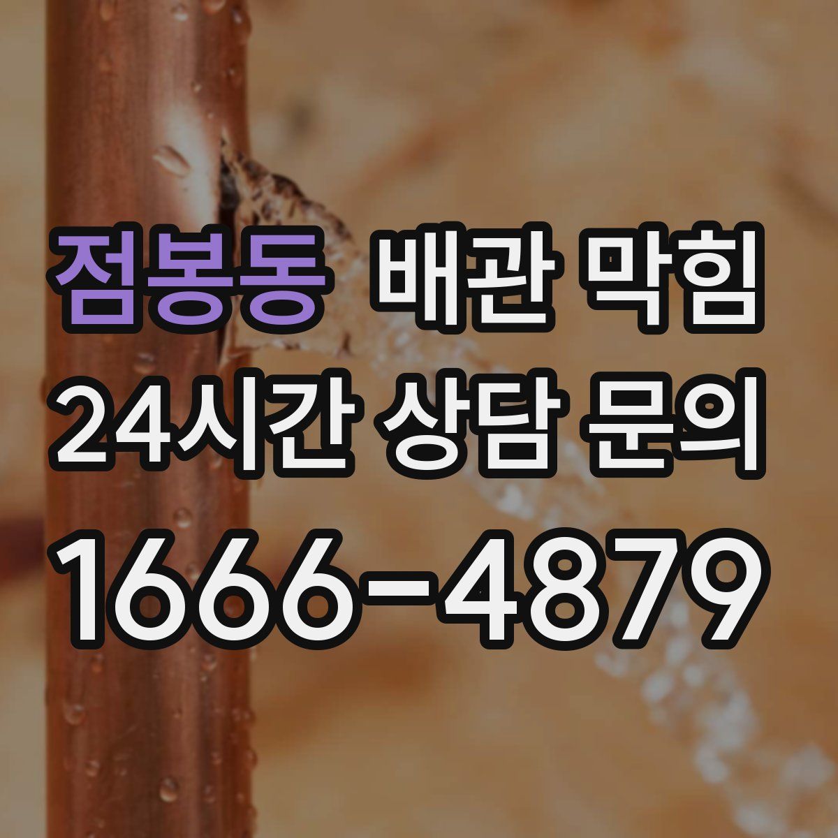 점봉동 배관 막힘