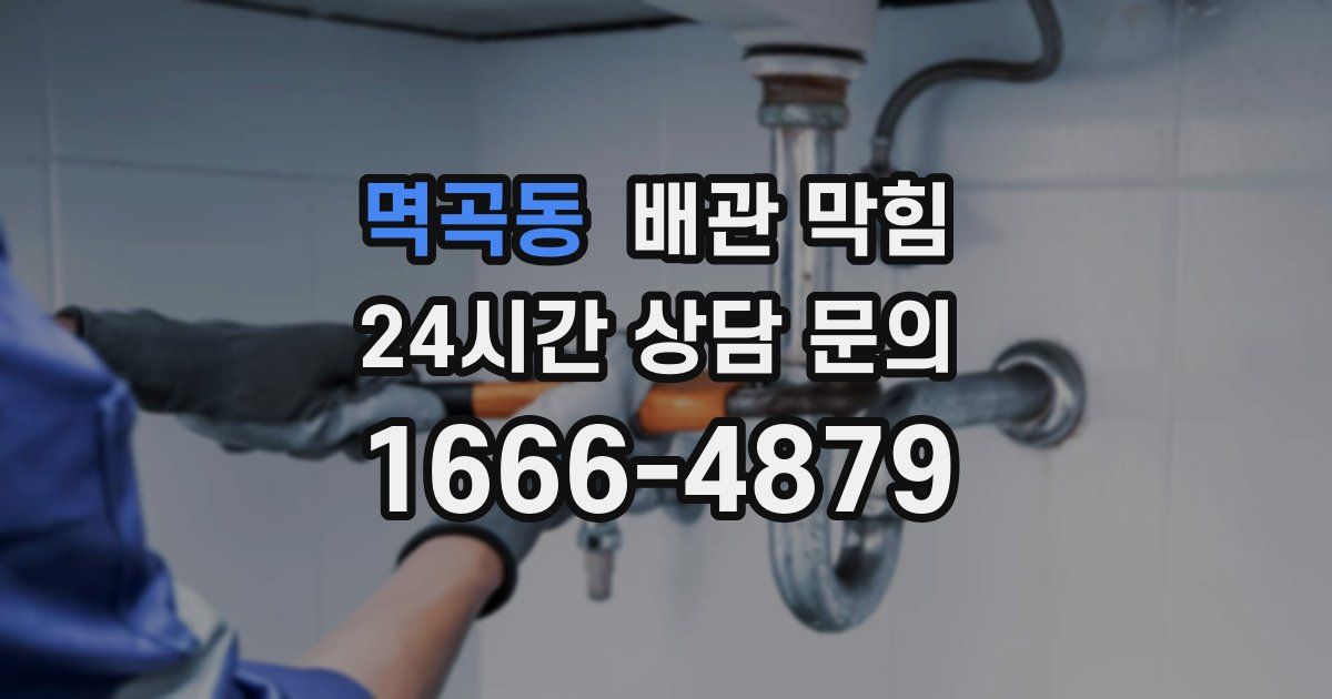 멱곡동 배관 막힘