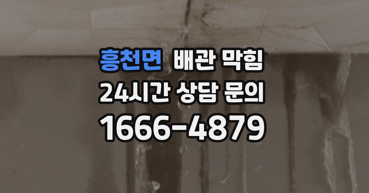 흥천면 배관 막힘