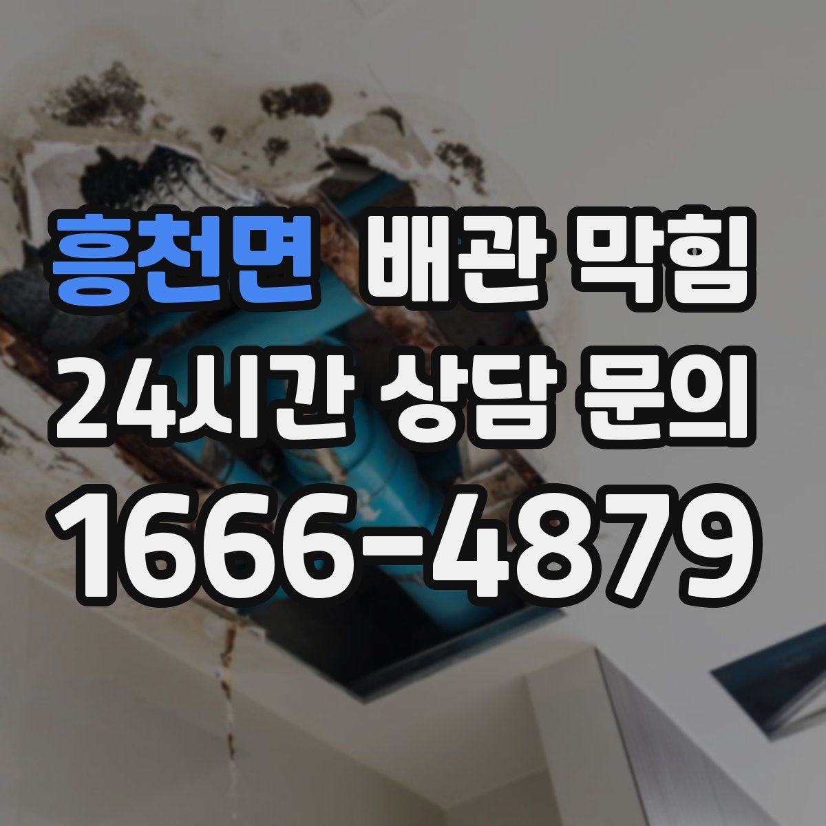 흥천면 배관 막힘