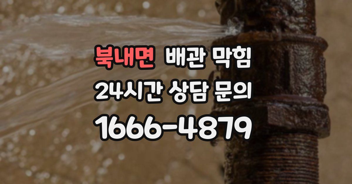 북내면 배관 막힘