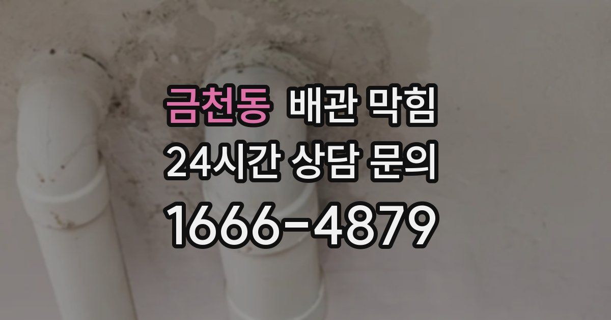 금천동 배관 막힘