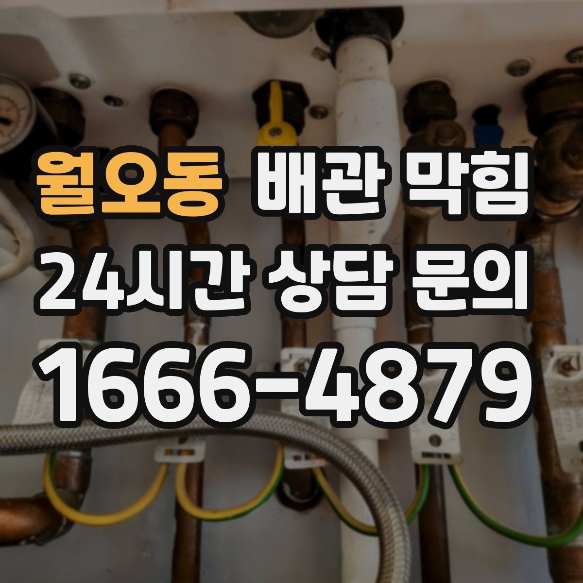 월오동 배관 막힘 집 전체 배수가 느려졌다면 공용 배관 의심