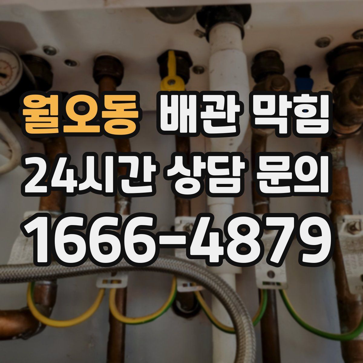 월오동 배관 막힘