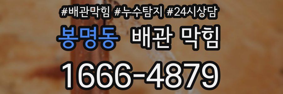 봉명동 배관 막힘