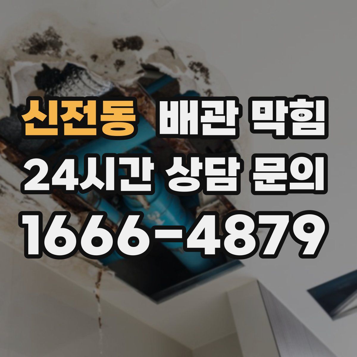 신전동 배관 막힘