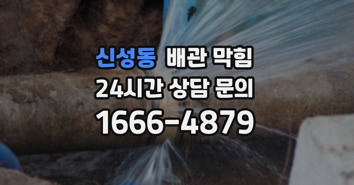 신성동 배관 막힘