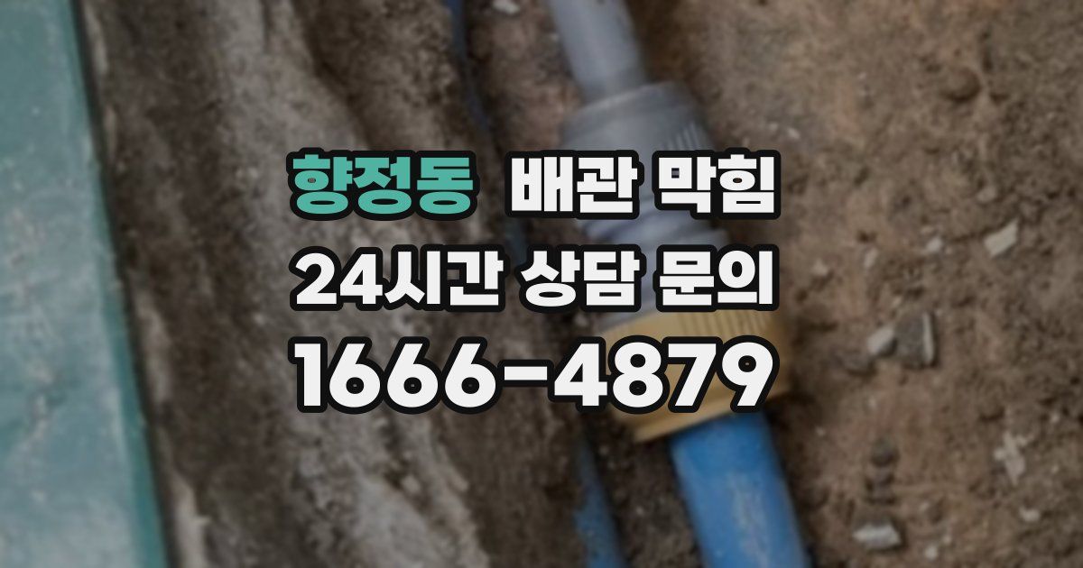 향정동 배관 막힘
