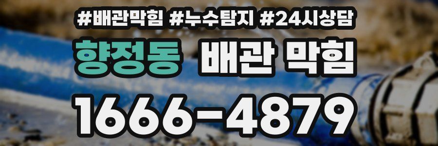 향정동 배관 막힘