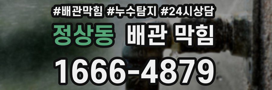 정상동 배관 막힘