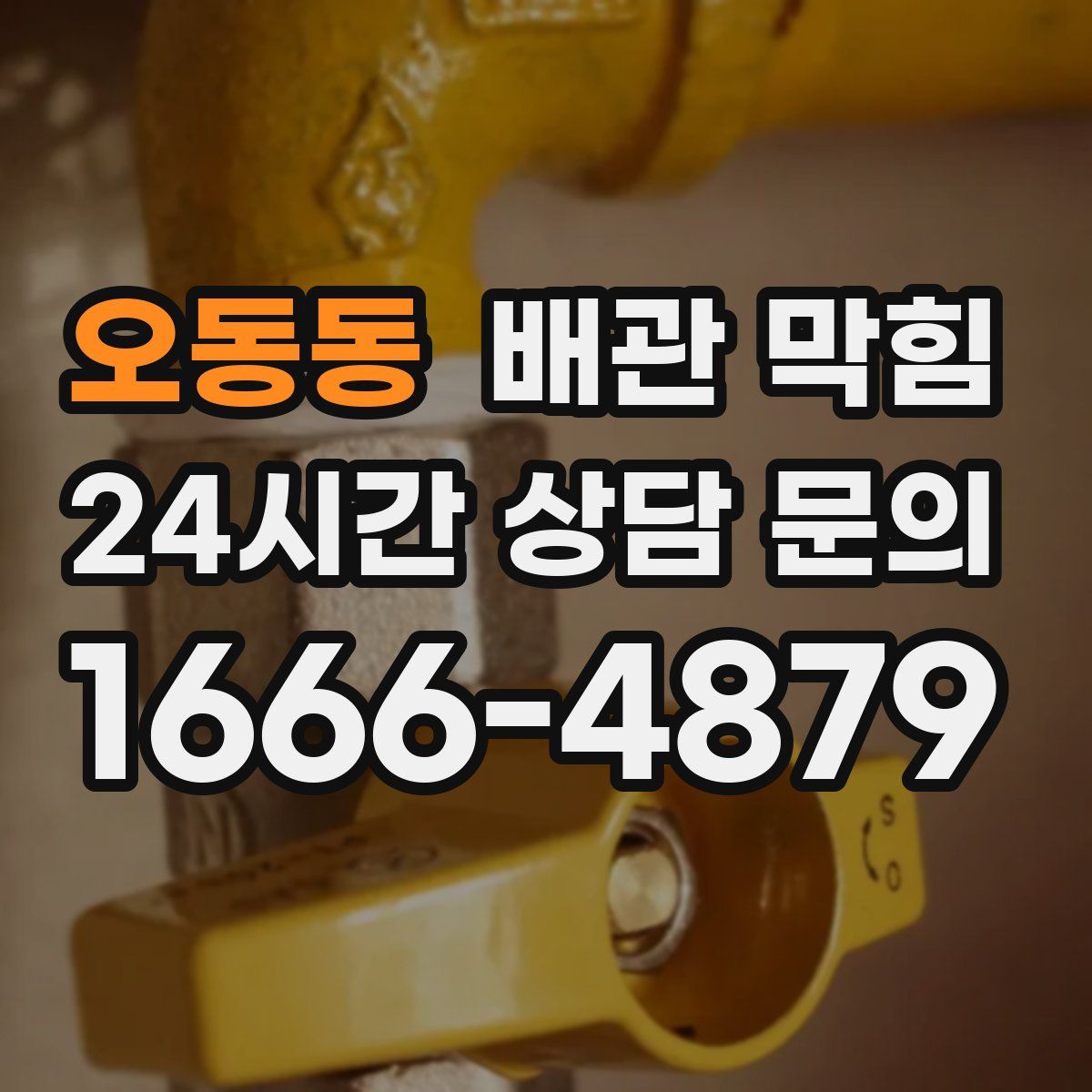 오동동 배관 막힘