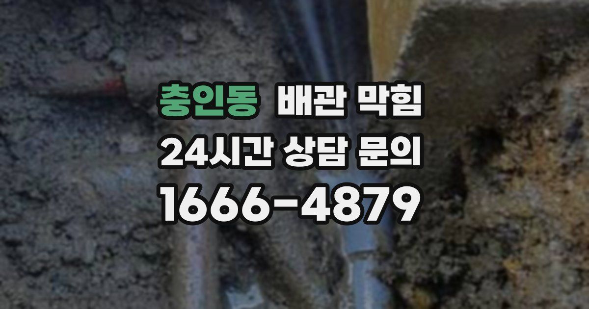 충인동 배관 막힘