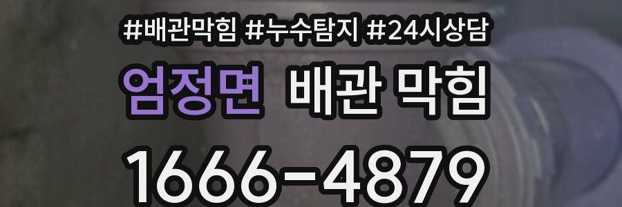 엄정면 배관 막힘