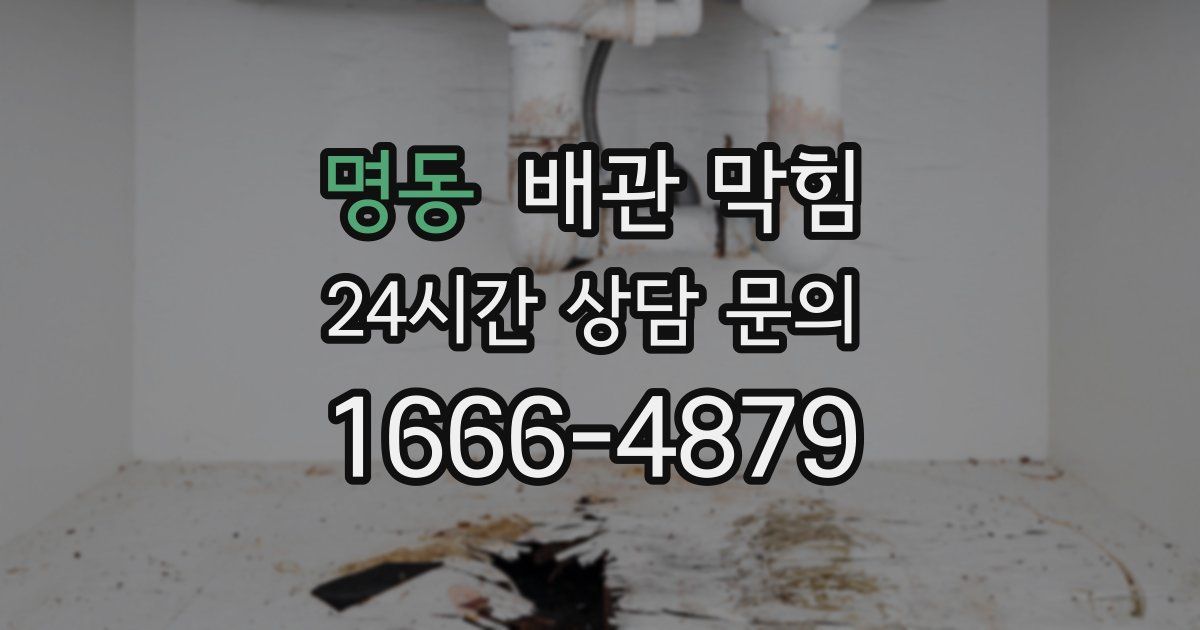 명동 배관 막힘