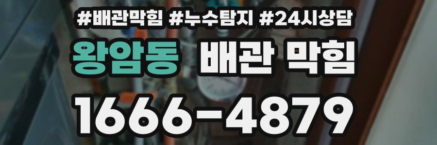 왕암동 배관 막힘