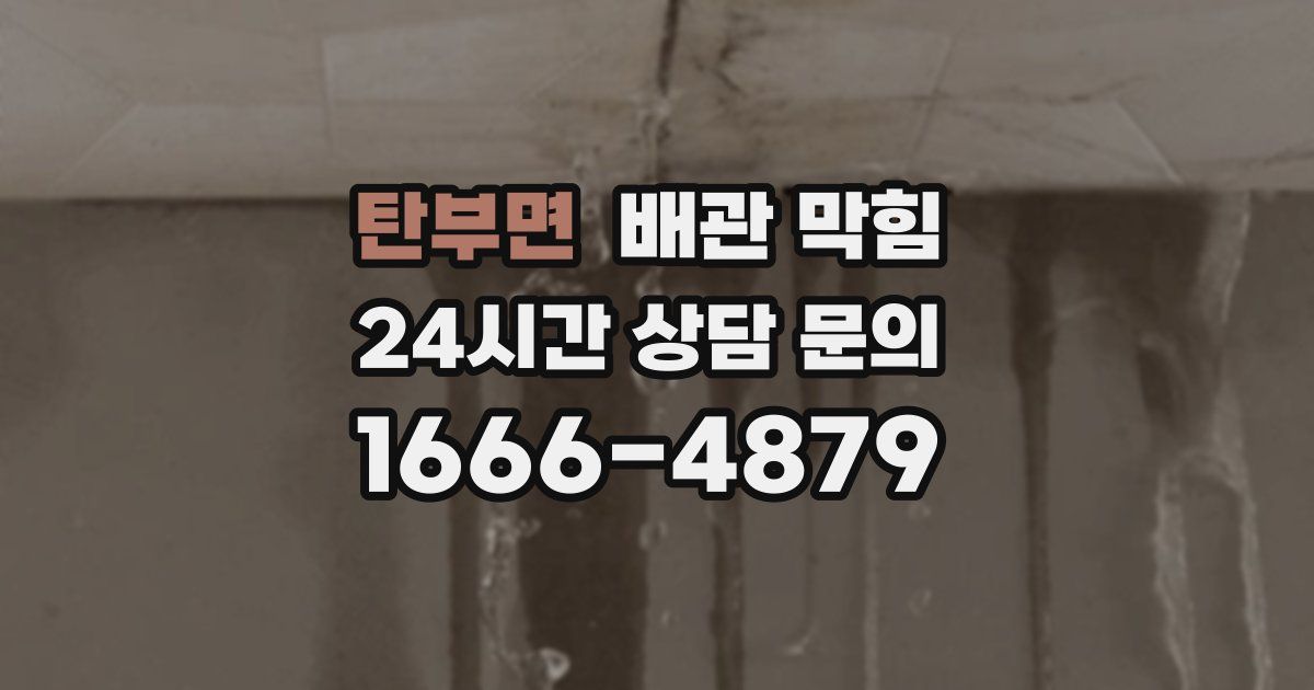 탄부면 배관 막힘