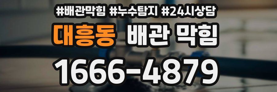 대흥동 배관 막힘