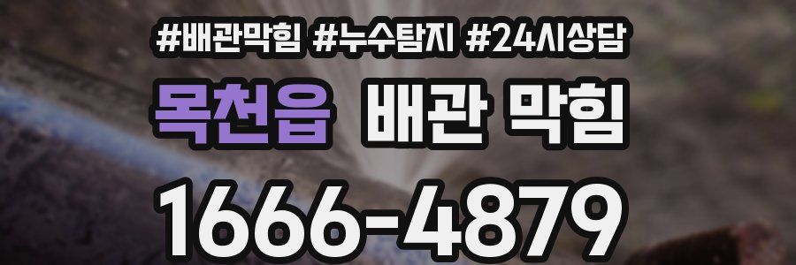 목천읍 배관 막힘